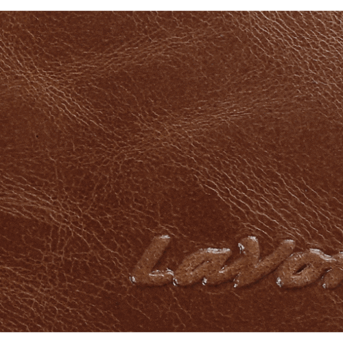 Lavor 1-7129 ανδρικό πορτοφόλι 13